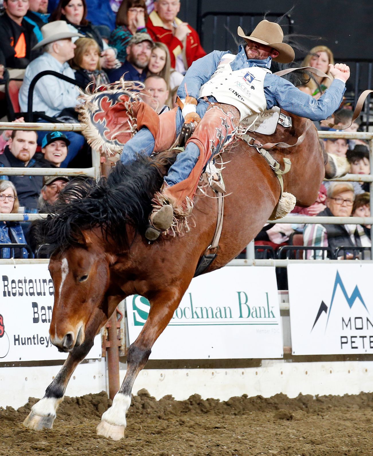 Chase Hawks rodeo